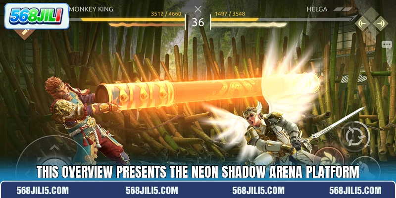 This overview presents the Neon Shadow Arena platform This overview presents the Neon Shadow Arena platform